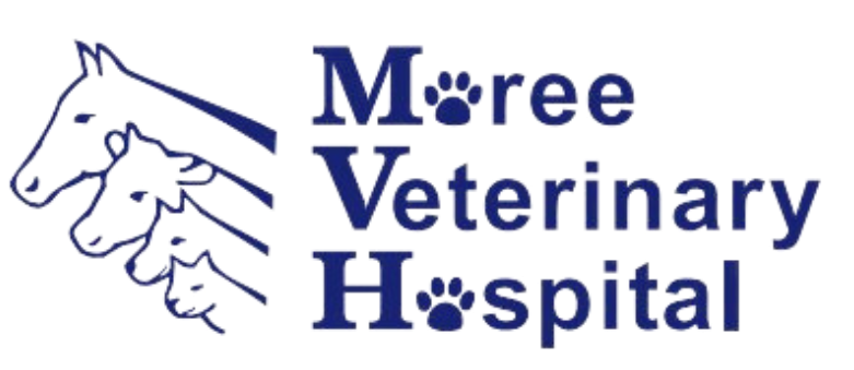 Moree Veterinary Hospital