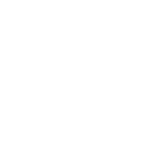 Kasey Gallagher Aesthetics