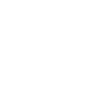 Fleurs Séchées