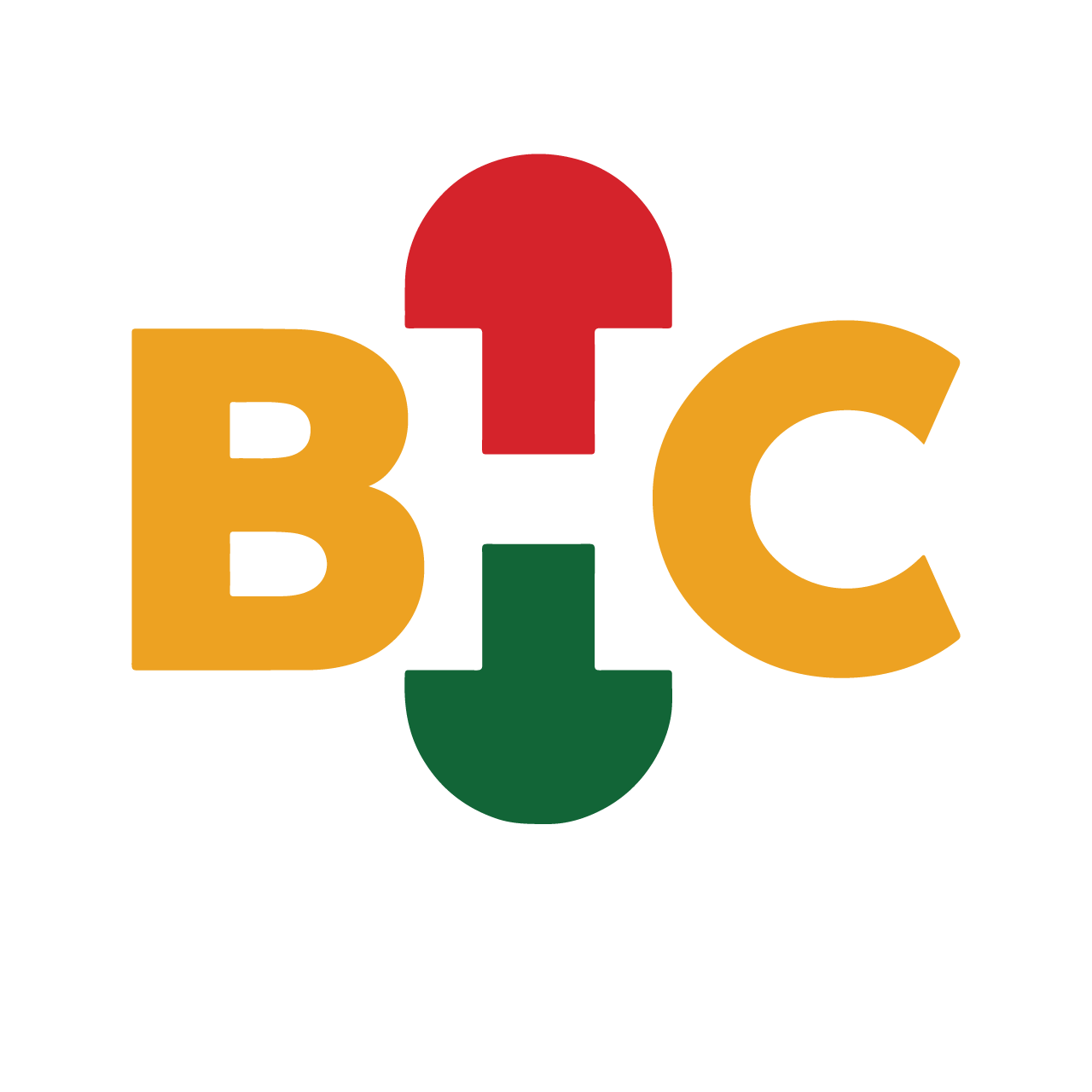 Black Health Connect