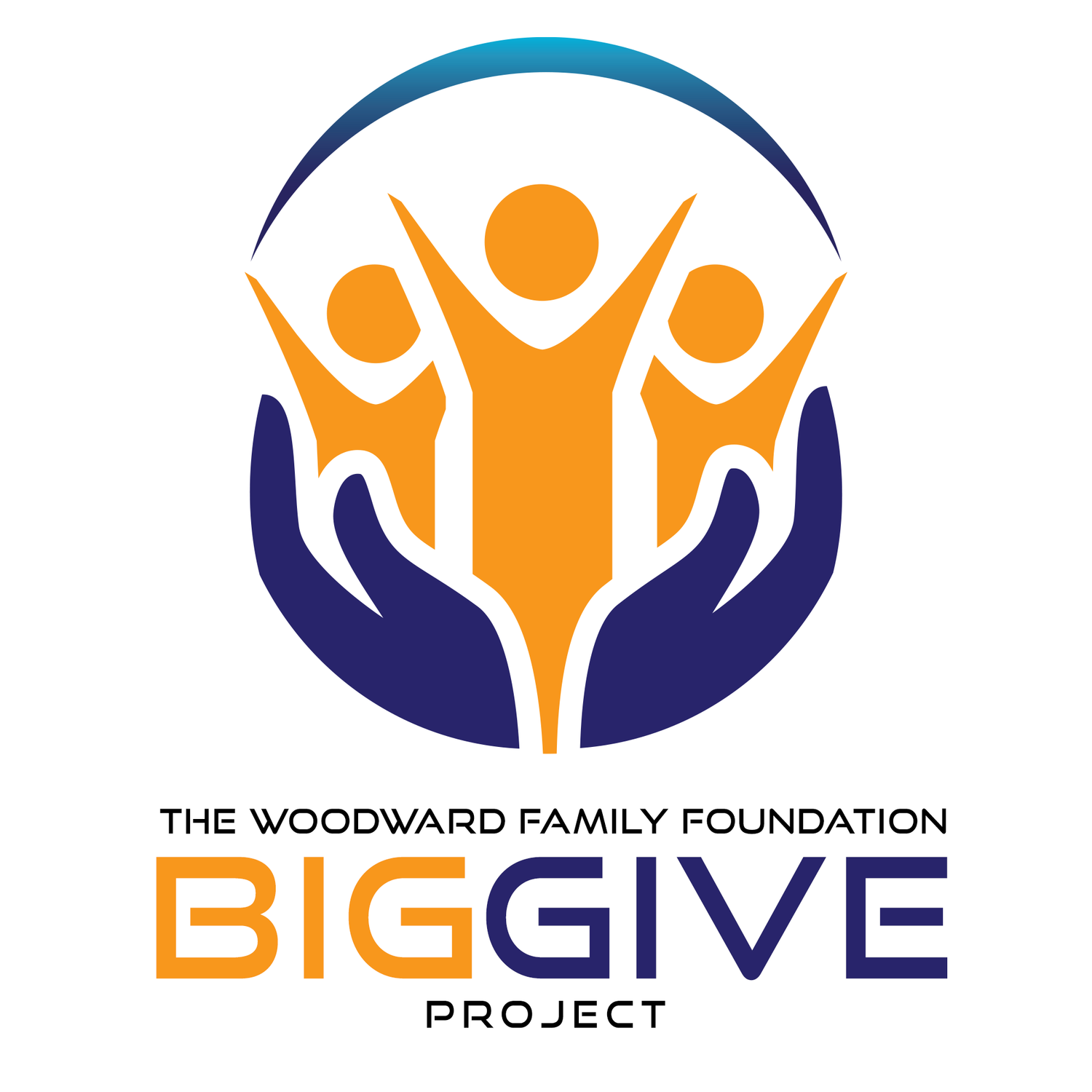 THE BIG GIVE PROJECT