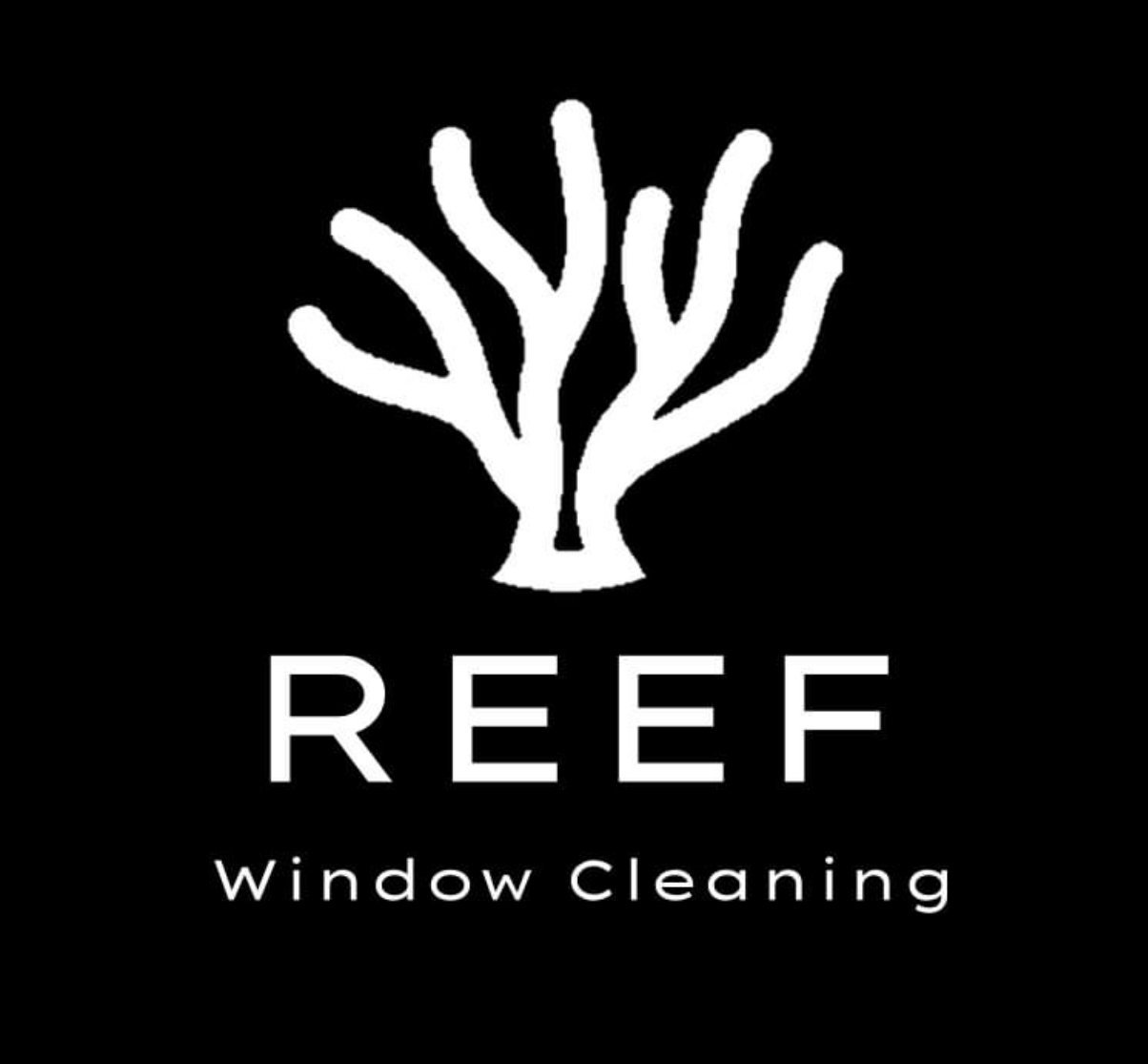 Reef Window Cleaning 