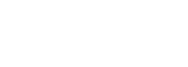 RenEnergy Africa