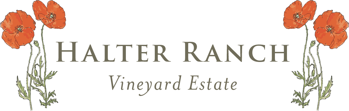 Halter Ranch Wines