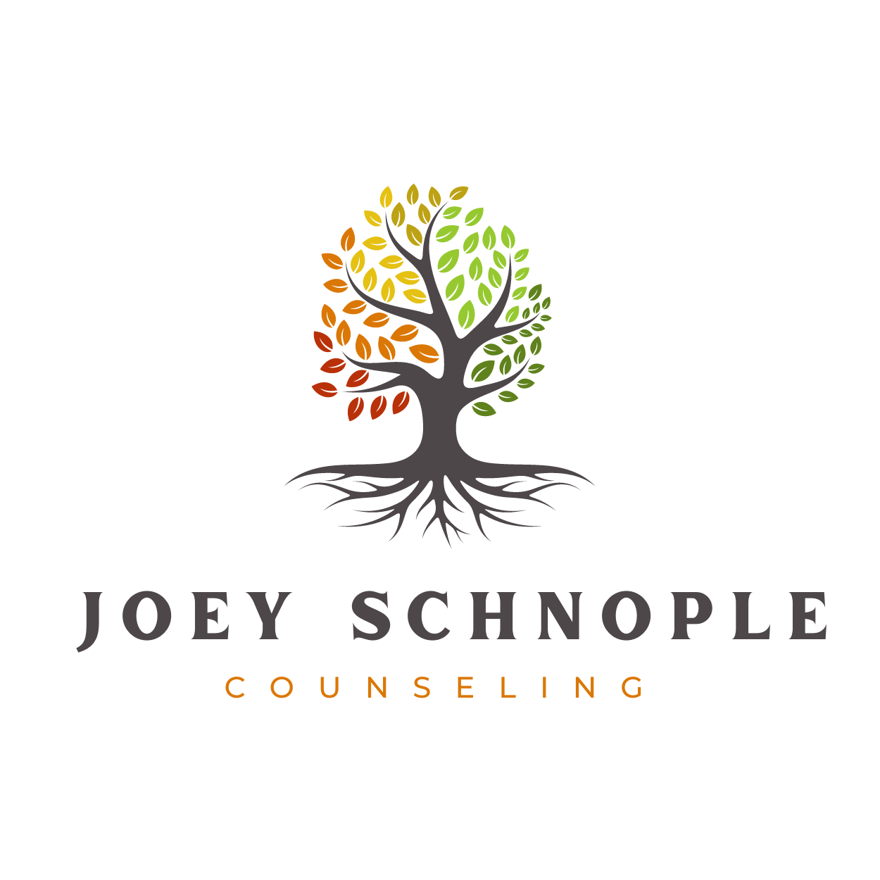 Joey Schnople Counseling