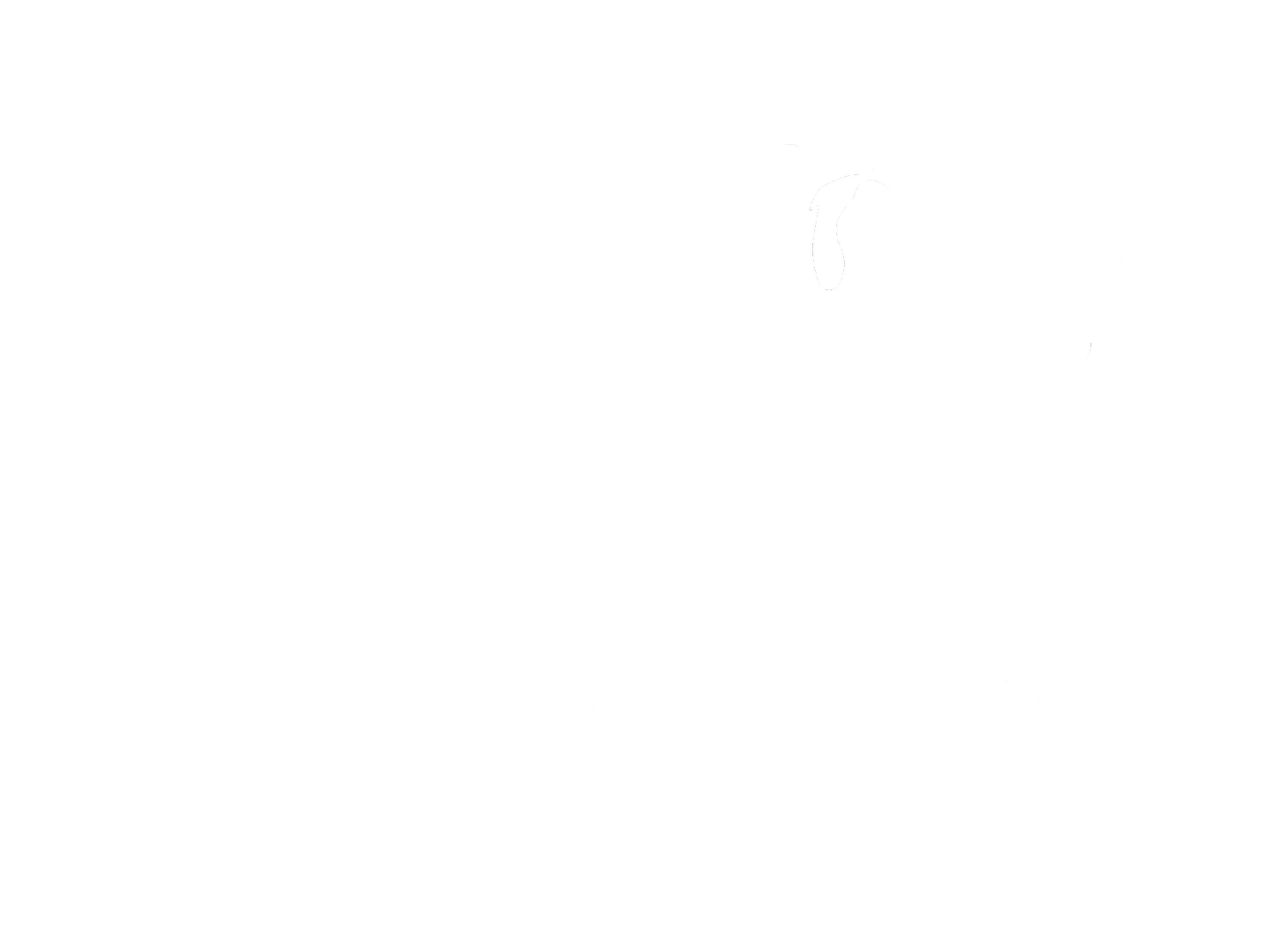 U.S. Financial Network, Inc.