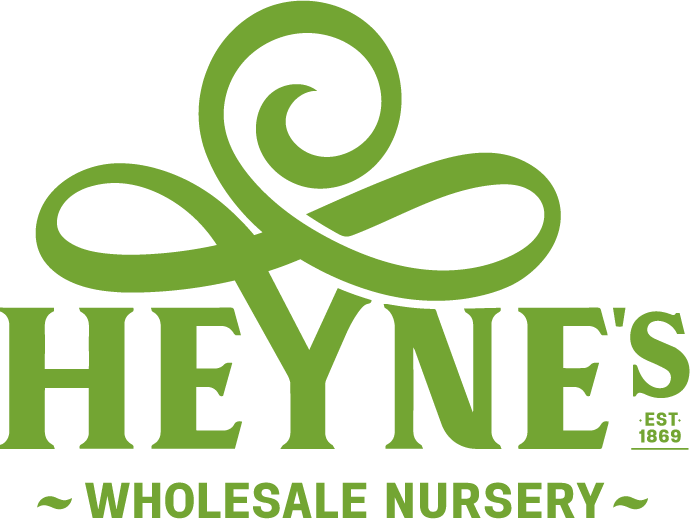 Heynes Wholesale