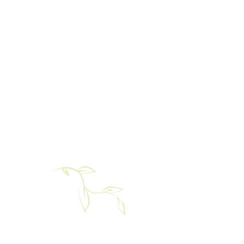 Tantalum Coaching