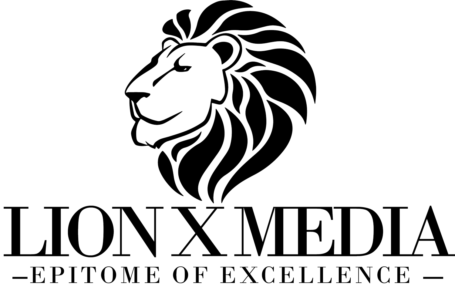 LionXMedia 2.0