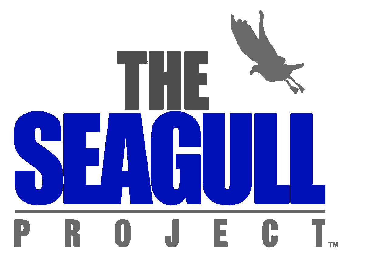 The Seagull Project