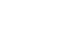 bailey's ux/ui