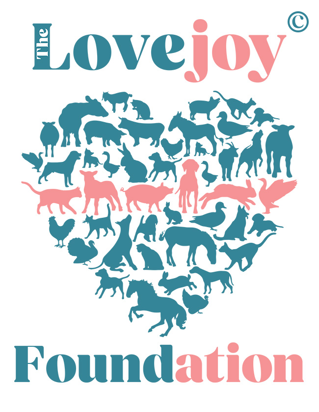 The Lovejoy Foundation