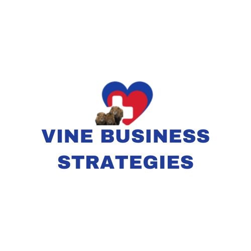 VINE BUSINESS STRATEGIES