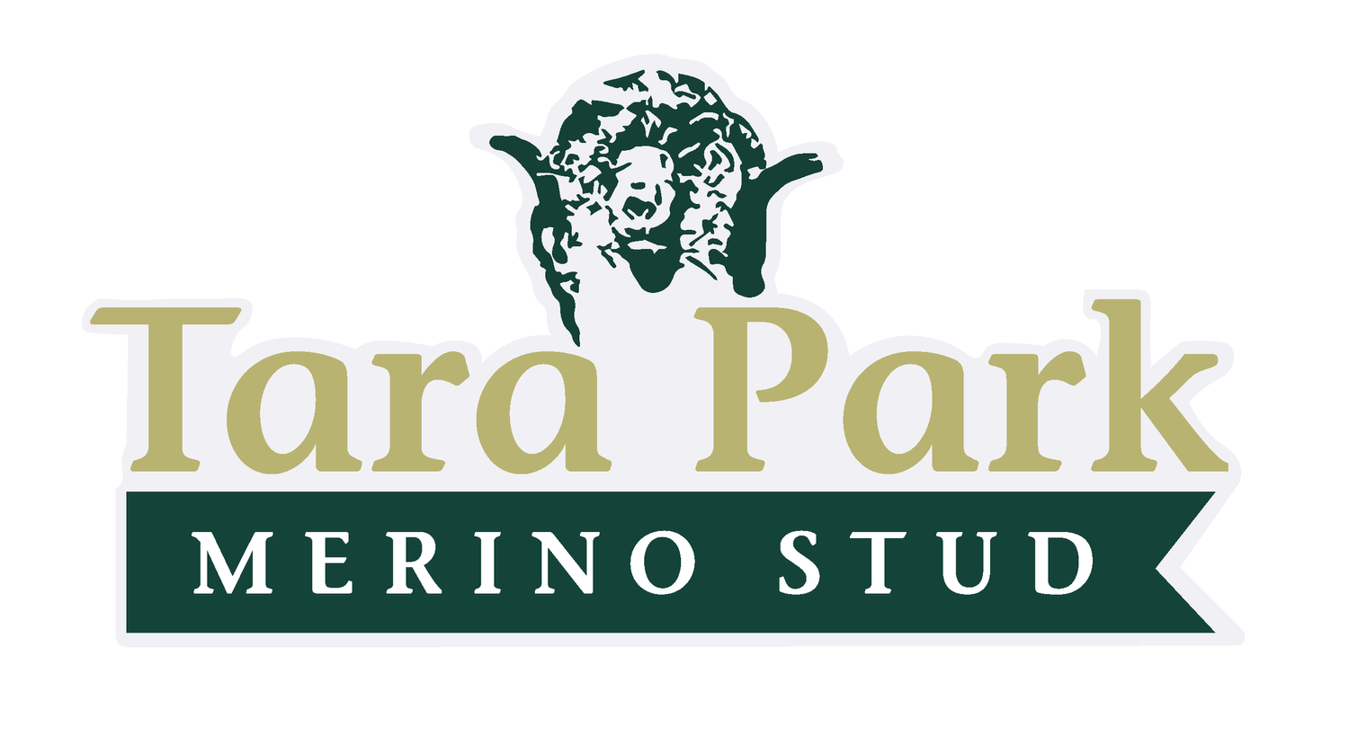 Tara Park Merino Stud