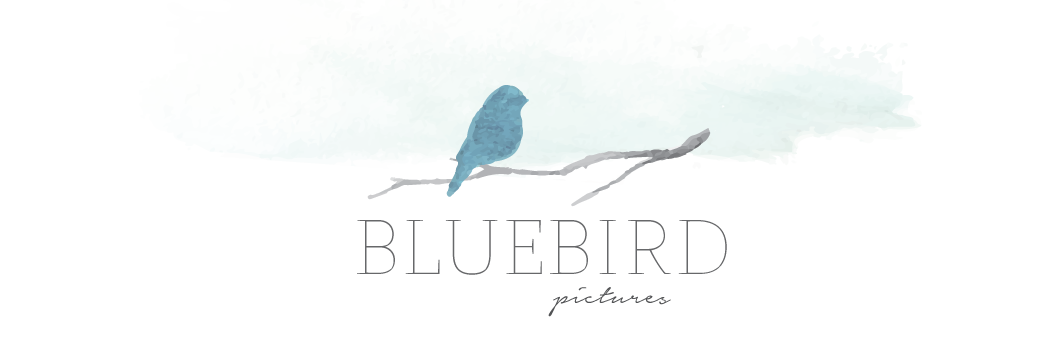 Bluebird Pictures