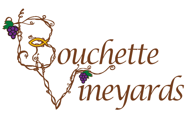 Bouchette Vineyards