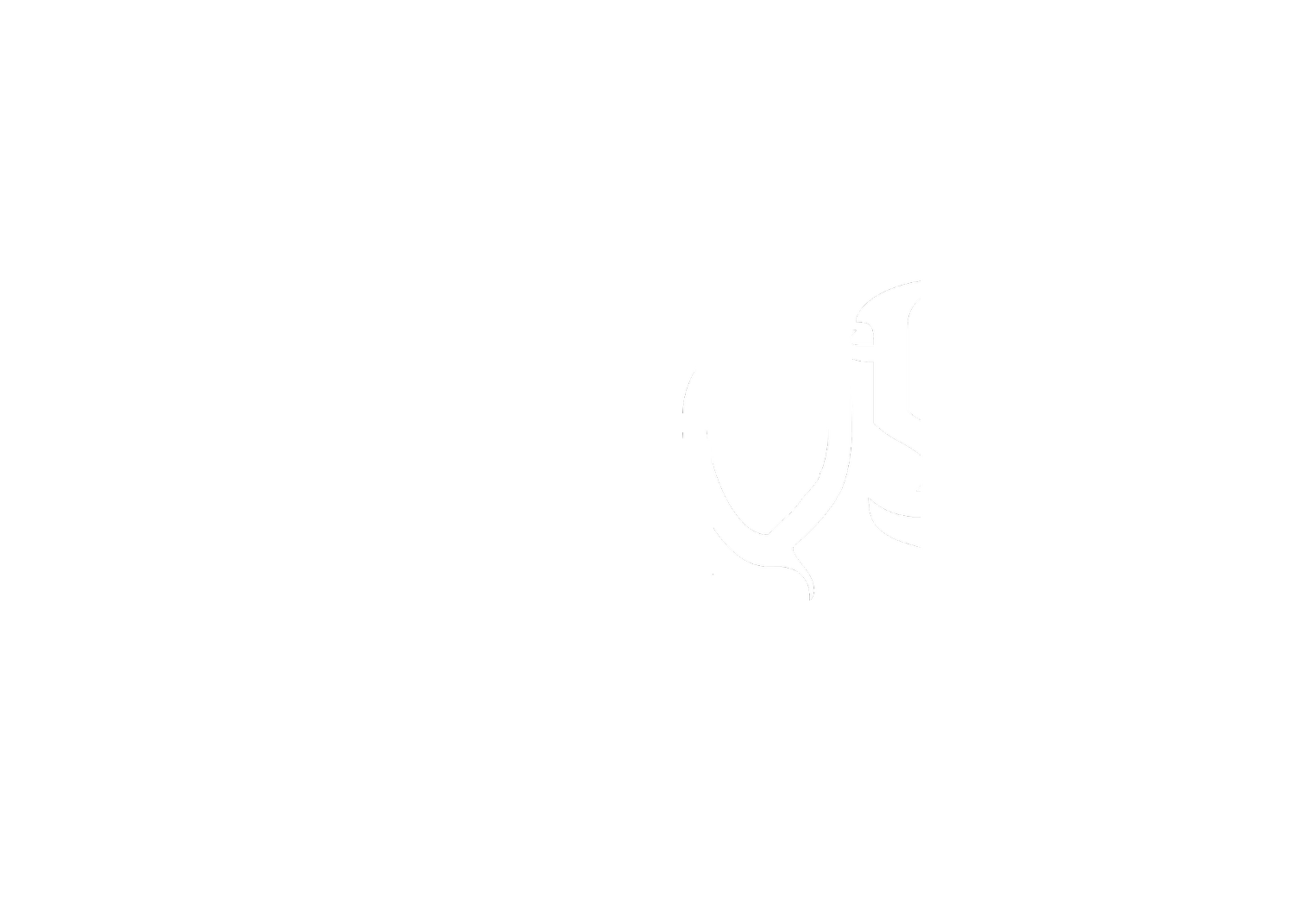 wokboys ent