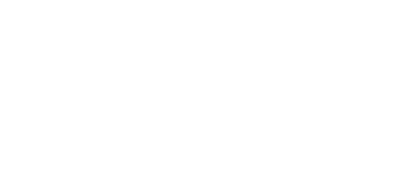 Junebug Pet Photography