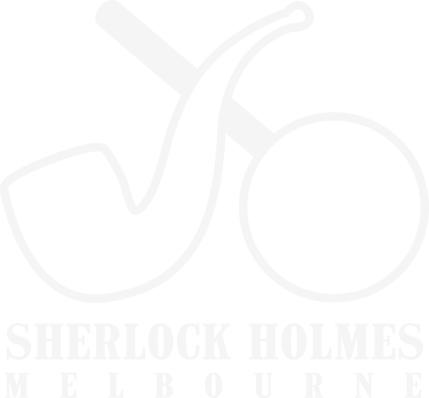 The Sherlock Holmes Inn