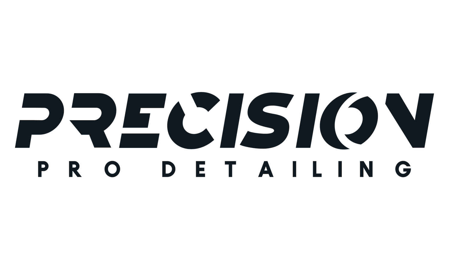 Precision Pro Detailing - New Minas 