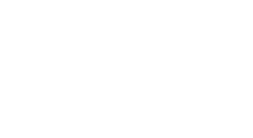 LIDE Portugal
