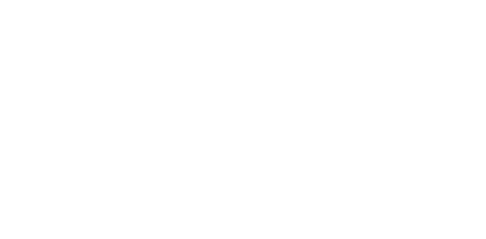 The Land of Dustin