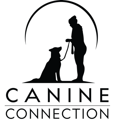 Canine Connection Training