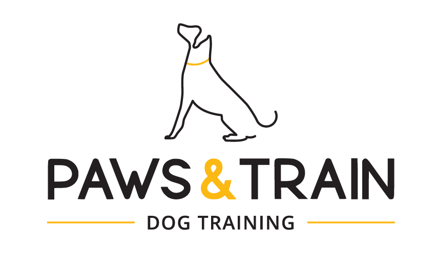 Highly-Rated Dog Trainer in Ocean Shores | Expert In-Home Dog &amp; Puppy Training Services