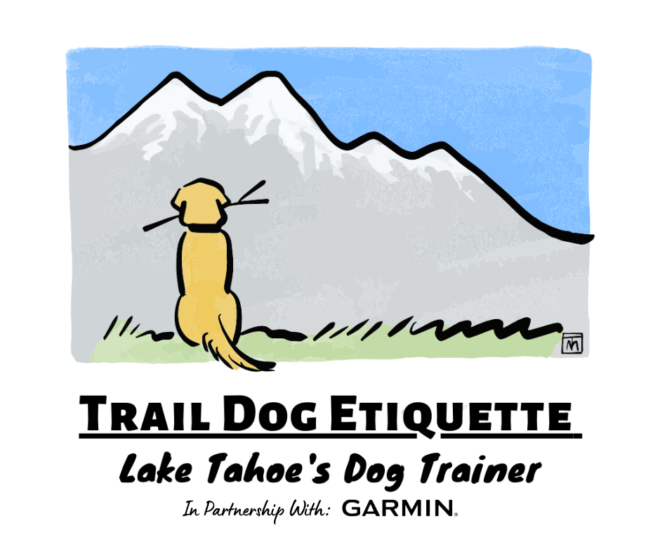 Trail Dog Etiquette LLC; Tahoe&#39;s Premier Dog Trainer