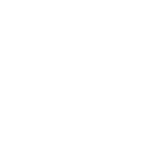 Rosebud Child Life Services