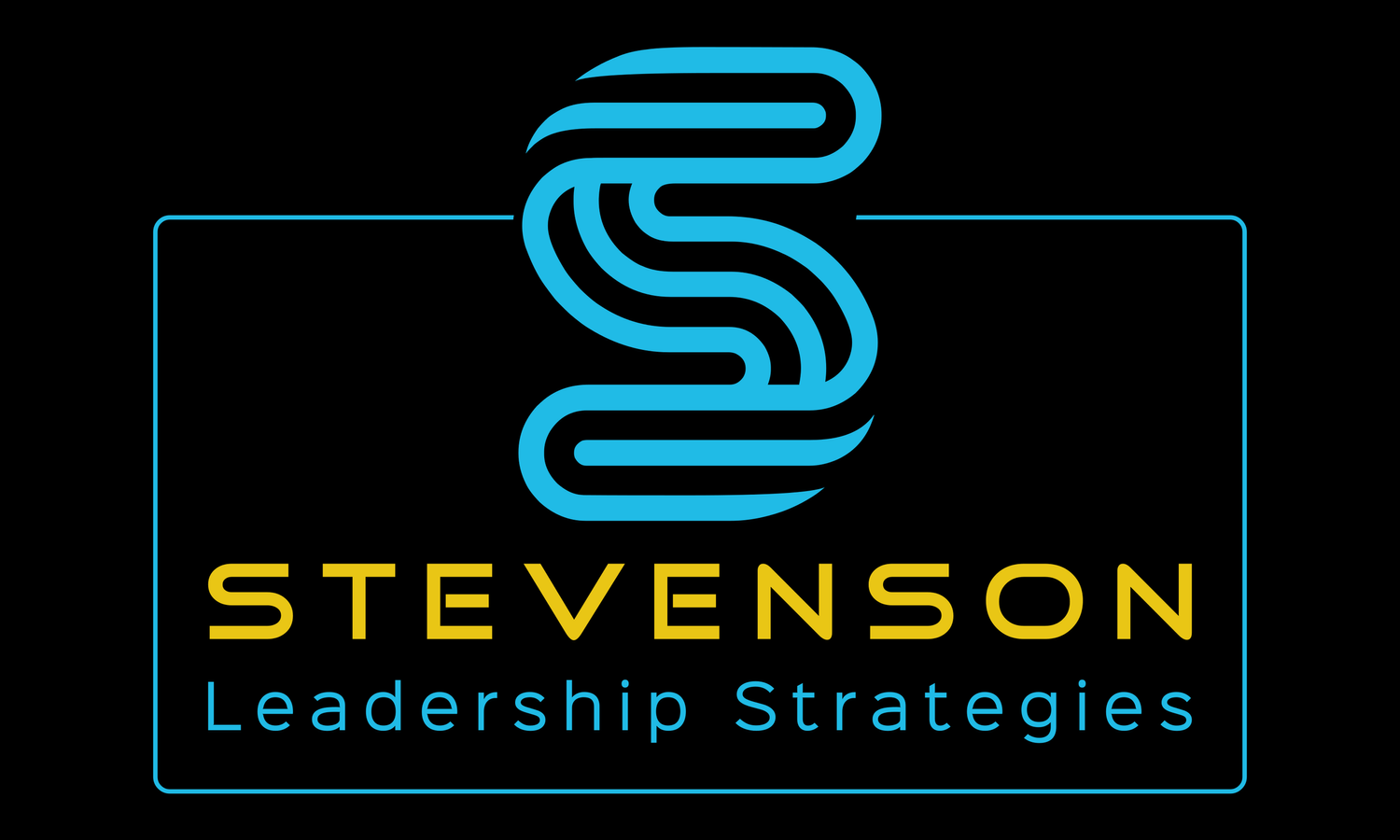 Stevenson Leadership Strategies