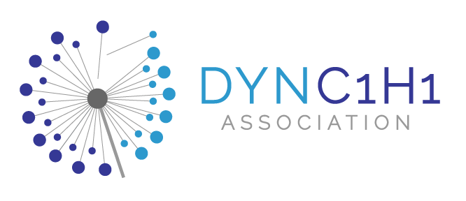DYNC1H1 Association