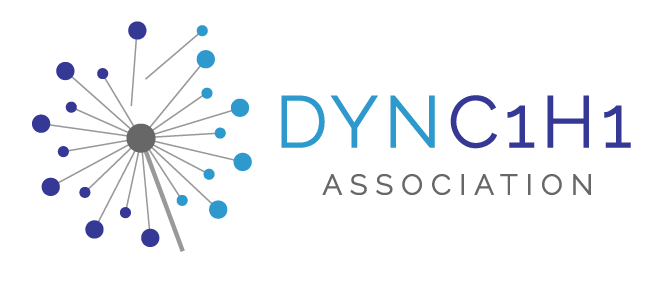 DYNC1H1 Association