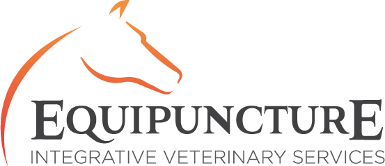 Equipuncture Integrative Veterinary Services