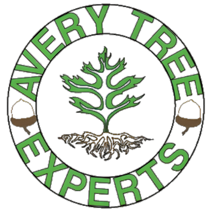 Avery Tree Experts