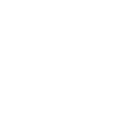 Emilia Hölttä / Brändikuvaus ja somemarkkinointi