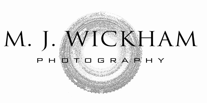 MJ Wickham Photography | Professional Photographer | Santa Rosa | San Francisco and North Bay