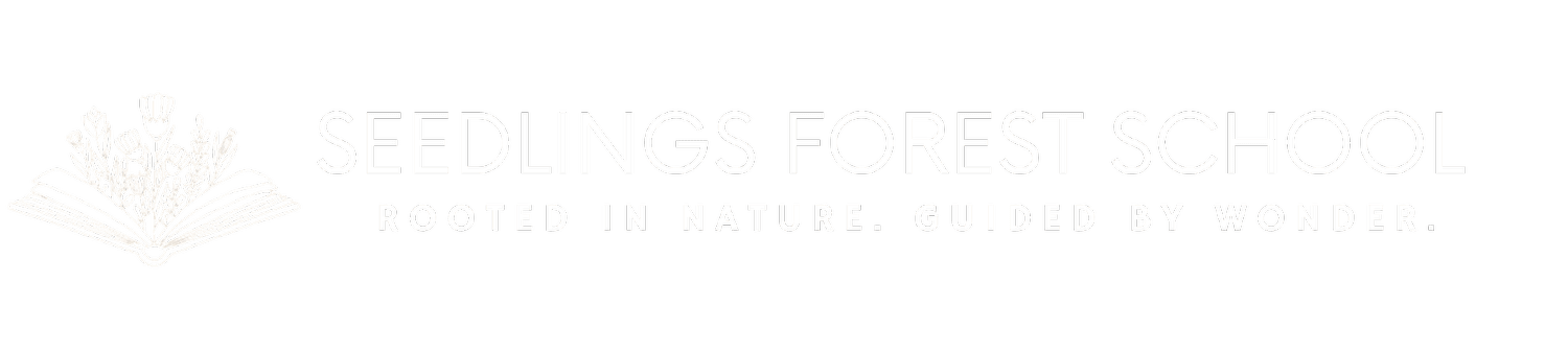 Seedlings Forest Education