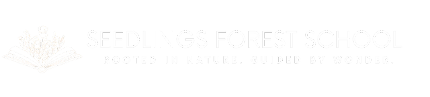 Seedlings Forest Education