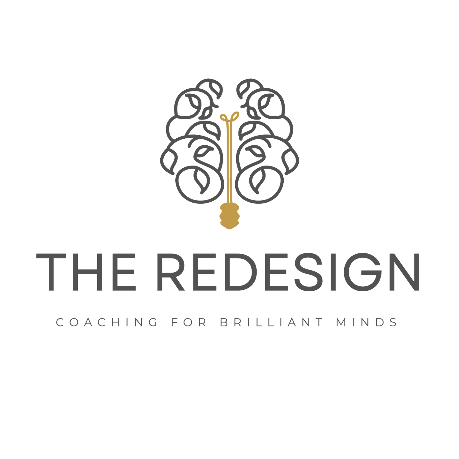 The Redesign Coaching