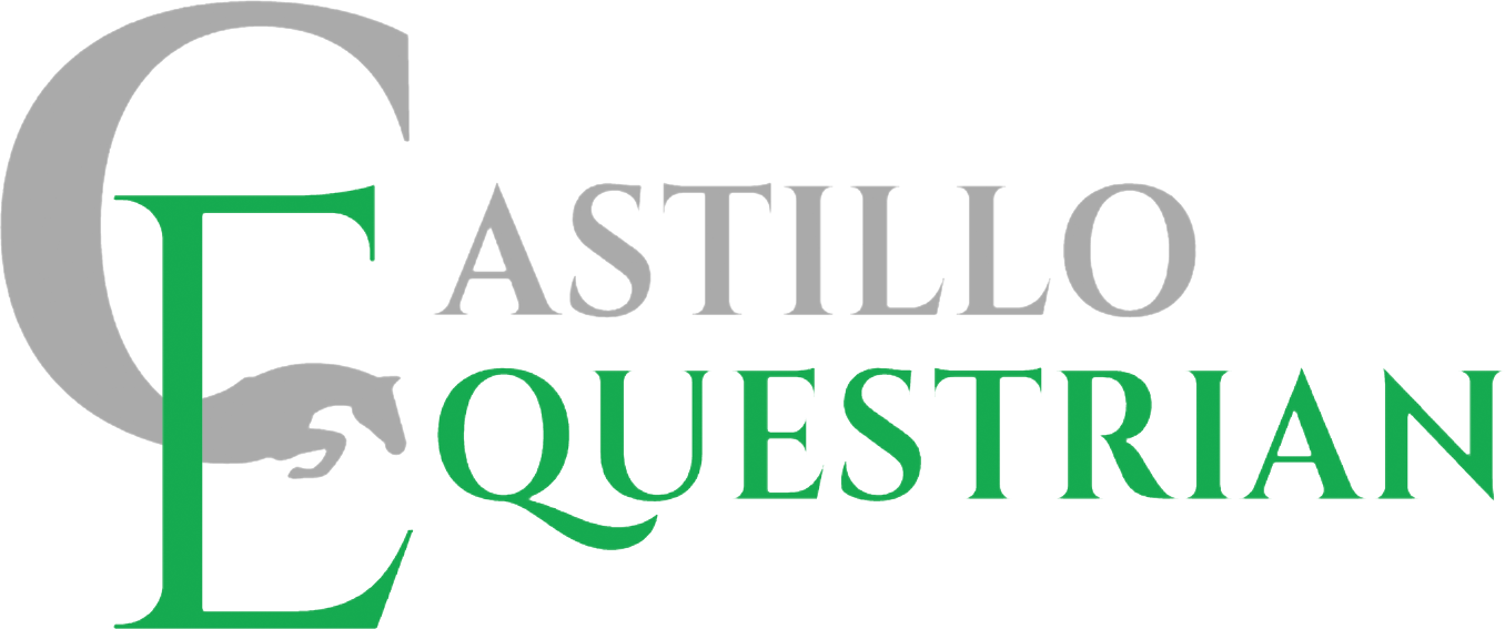 Castillo Equestrian Horse Riding Lessons Serving Midland and Odessa TX