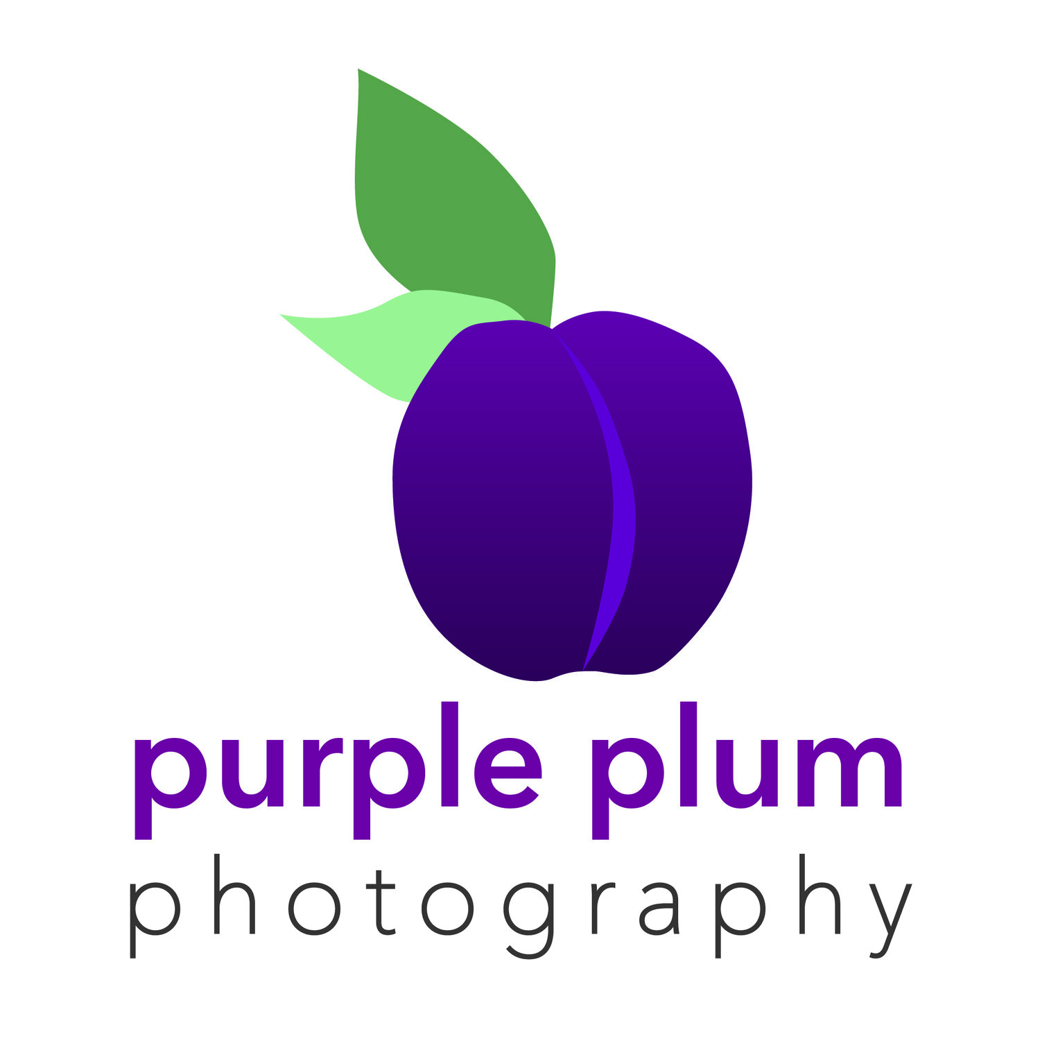 Purple Plum Photography by Eula Mickelborg