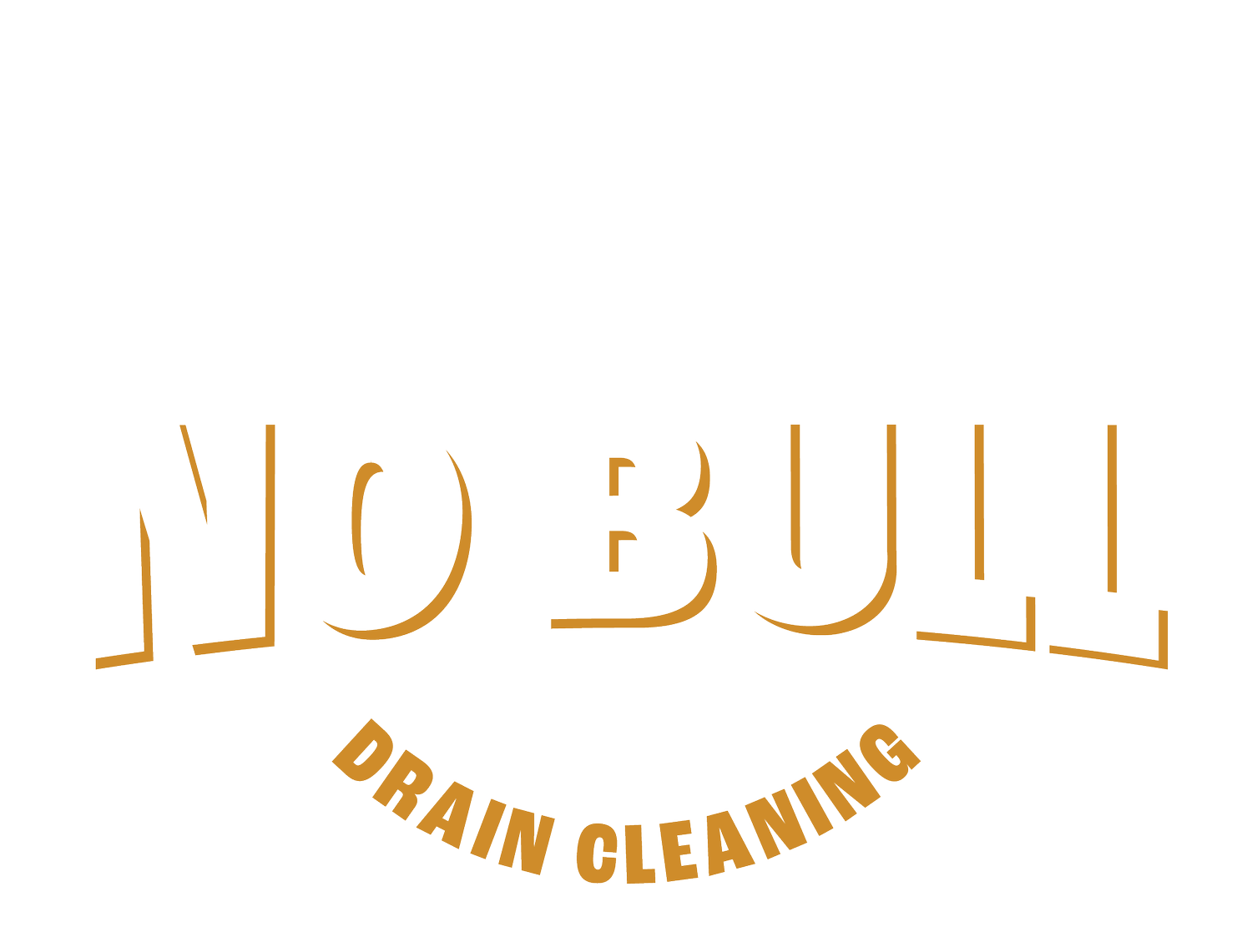 No Bull Drain Cleaning