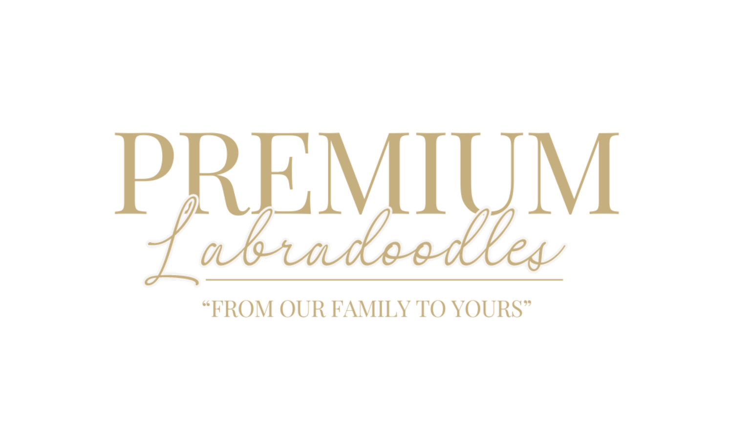Premium Labradoodles