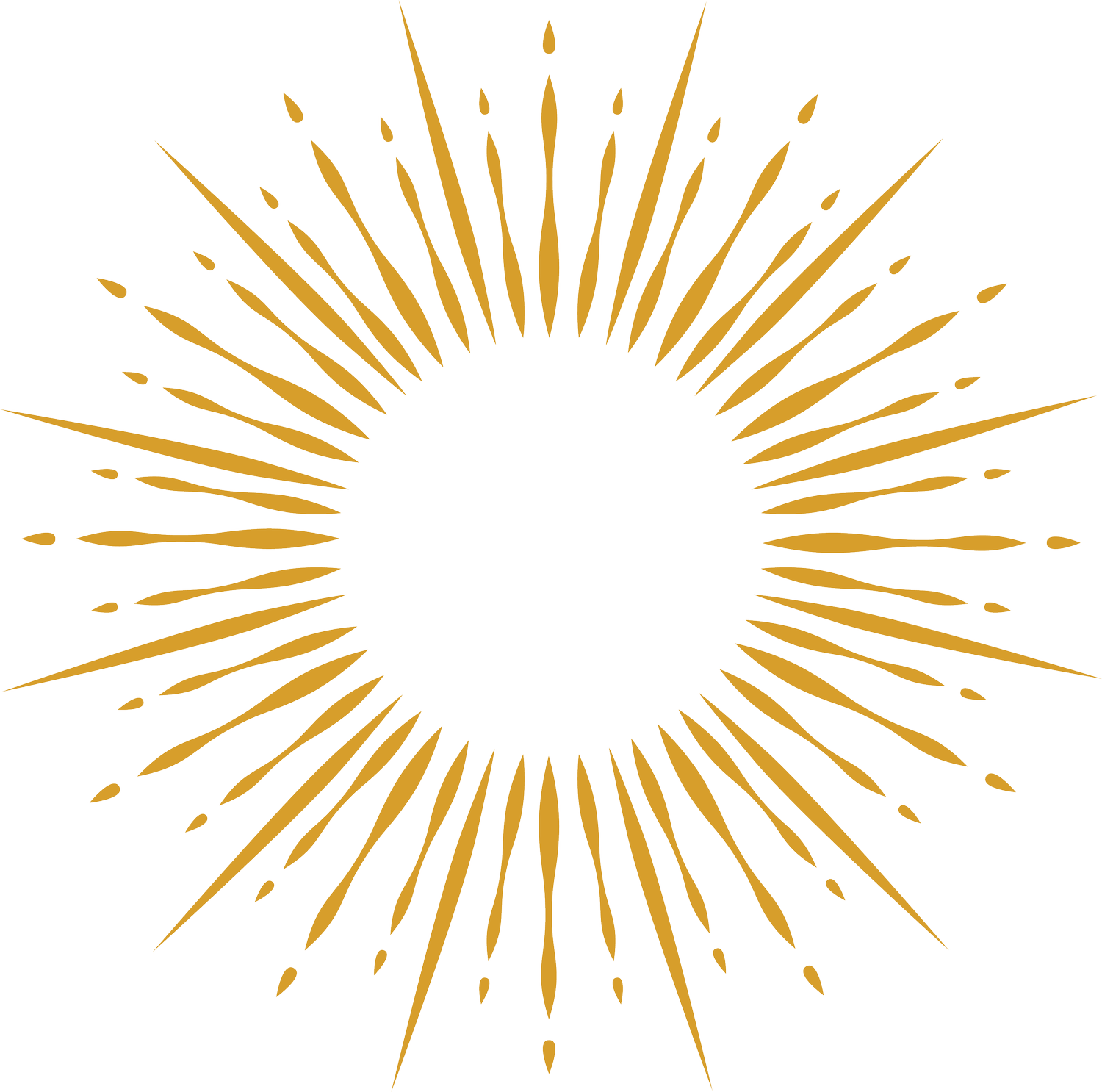 Permanent Jewelry Training Society