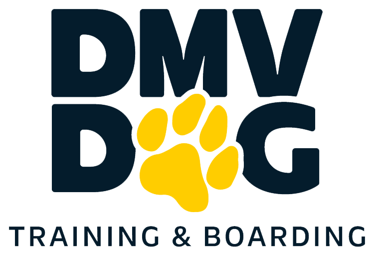 DMV Dog Training &amp; Boarding