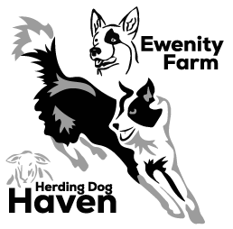 Ewenity Farm Herding Dog Haven