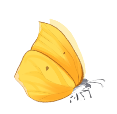 Mélissa Bayle Photographie