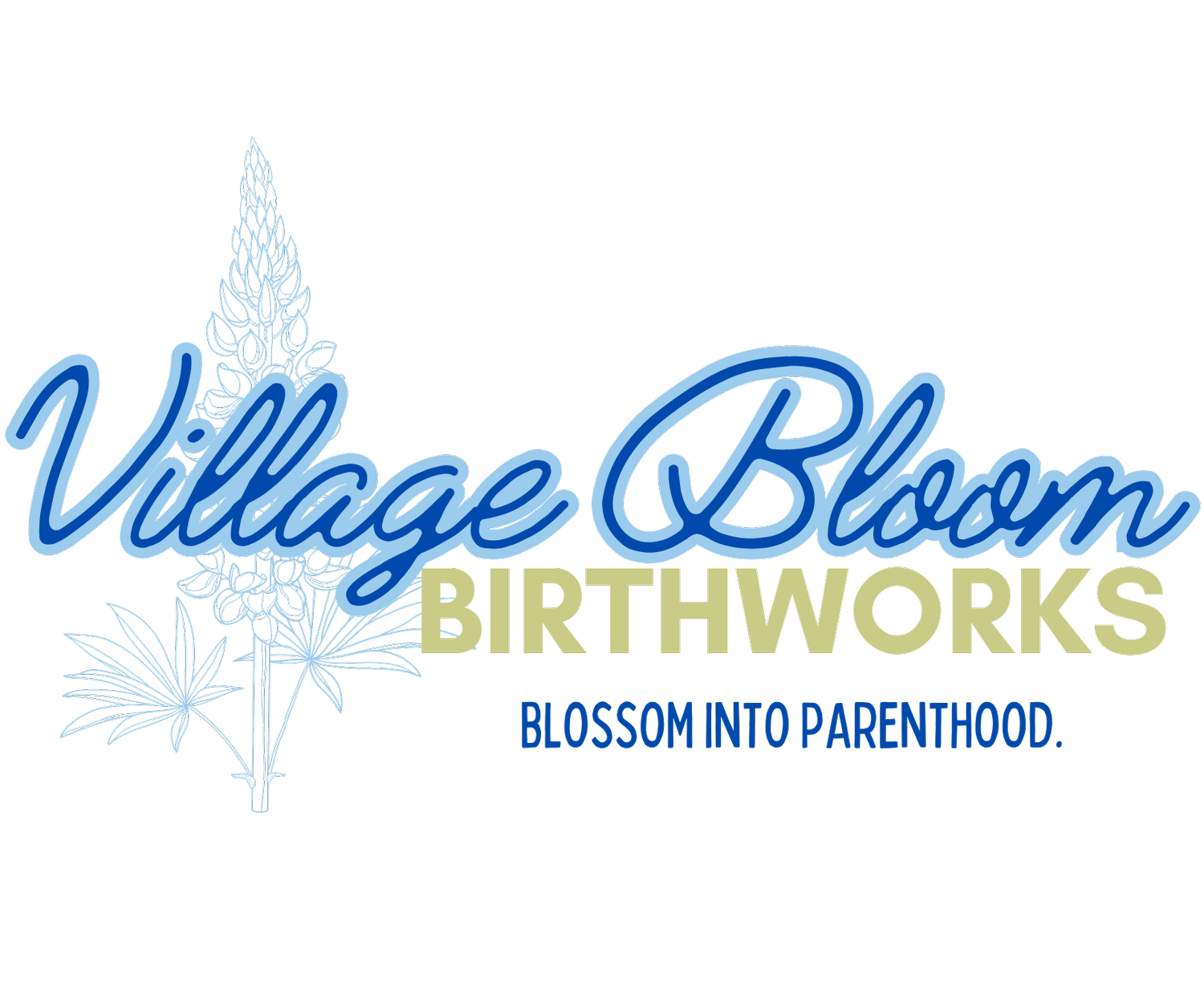 Village Bloom Birthworks - Houston Area Doula