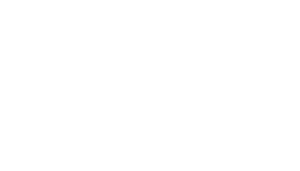 The Diligent Company